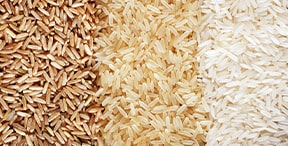 تصدير الأرز البرازيلي